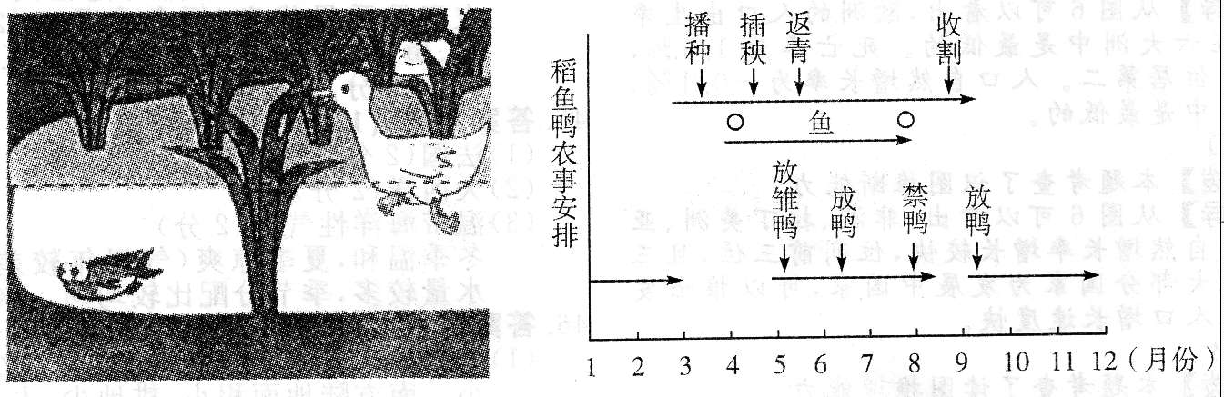 2015年成考高起点历史地理考试真题