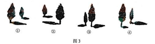 2013年成考高起点历史地理考试真题